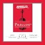D'Addario Prelude Cello String Set, 1/2 Scale, Medium Tension
