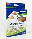 Maracyn II - Freshwater - Powder - 24 pk