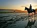An Unidentified Horse and Rider on the Track at Belmont Park in Elmont, New York, June 9, 2006 Associated Press Collection Photographic Poster Print by Ed Betz, 24x18 Image