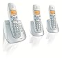 Philips DECT 2453 Trio Pack - Silver