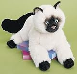 cat-Tasha Himalayan Cat 16