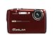 Casio Exilim EX-FS10 9MP Digital Camera with 3x Optical Image Stabilized Zoom and 2.5 inch LCD (Red)