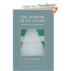 The Wisdom of No Escape: And the Path of Loving-Kindness
