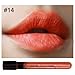 WXBUY Beauty Makeup Waterproof Lip Pencil Lipstick Lip Gloss Lip Pen Sexy N
