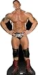 Batista (World Wrestling Entertainment) Life-Size Standup Poster