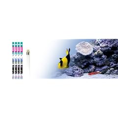Arcadia Marine Hybrid J-T5 Lampe 24 Watt 438 mm