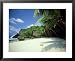 Coconut Grove, Dolly Beach Christmas Island, Indian Ocean Framed Art Poster Print by Jan Aldenhoven, 31x25