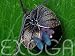 Mexican Tomatillo Purple - Physalis ixocarpa violett Tomaten Samen