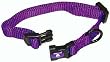 Hamilton 3/8" Adjustable Dog Collar, Extra Small, Fits 7"-12", Purple