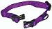 Hamilton 3/8" Adjustable Dog Collar, Extra Small, Fits 7"-12", Purple