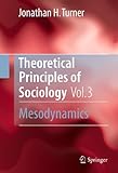 Theoretical principles of sociology