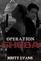 Operation Sheba