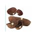 Kitchen & Housewares : Gardman R877 24" Trough Coco Liner