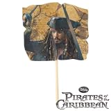 Pirates of the Caribbean Fun Pix