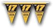 Matt Kenseth 25 ft party pennant flags - NASCAR