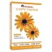 Copy Paper, 92 Brightness, 20lb, 8-1/2 x 14, White, 5000 Sheets/Carton