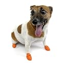 Pawz ポウズドッグブーツ 12個セット XSサイズ