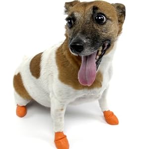 Pawz ポウズドッグブーツ 12個セット XSサイズ