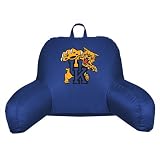 University of Kentucky Bed Rest Pillow