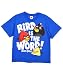 Angry Birds Bird Is The Word Youth T-shirt