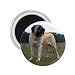 Mastiff Refrigerator Magnet