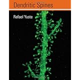 Dendritic Spines