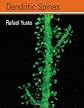 Dendritic spines