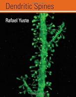 Dendritic spines