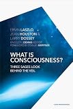What is Consciousness?: Three Sages Look Behind the Veil (A New Paradigm Book)