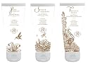 SunEssence Sunscreen (Three Different Scents, 6.7 oz. each)