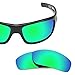 Revant Polarized Replacement Lenses for Revo Guide RE4054 Elite Rogue Green MirrorShield