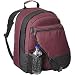Apparel : Rick Steves Travel Gear Veloce Expandable Travel Pack