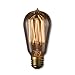 Bulbrite 134019 40W Nostalgic Edison Squirrel Cage-style Bulb