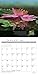A New Earth 2016 Wall Calendar