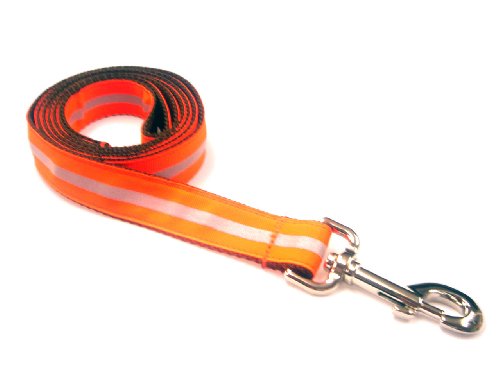 Large Reflective Orange Dog Leash - Nylon Webbing: 1