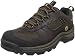 Timberland Mens Chocorua Trail Gore-Tex Low Hiking Boot