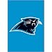 Carolina Panthers Garden/Window Flag