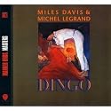 Dingo