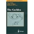 The Cochlea