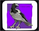 Mouse Pad with comix, corn, corvus, bird