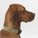 Dog Collar in Paisley Taupe Microvelvet Size: Large