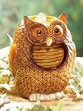 Owl Fountain