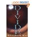 The Divide