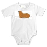 Onesie with "ice floe", arctic, valross, pinniped, piniped, zoo, walrus, animal, captivity, marine, tusks, mammal, Arctic