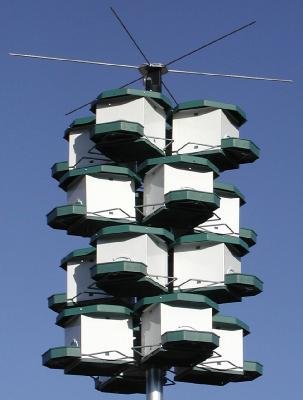 H-F Quad Pod Purple Martin Bird House