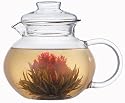 Primula Glass Tea Pot with Infuser