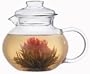 Primula Glass Stovetop Tea Pot with Infuser