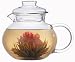 Primula Flowering Teas