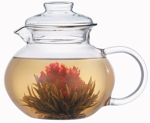 Primula Glass Tea Pot with Infuser