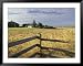 Ebey's Landing National Historic Site, Whidbey Island, Washington, USA Framed Art Pos...